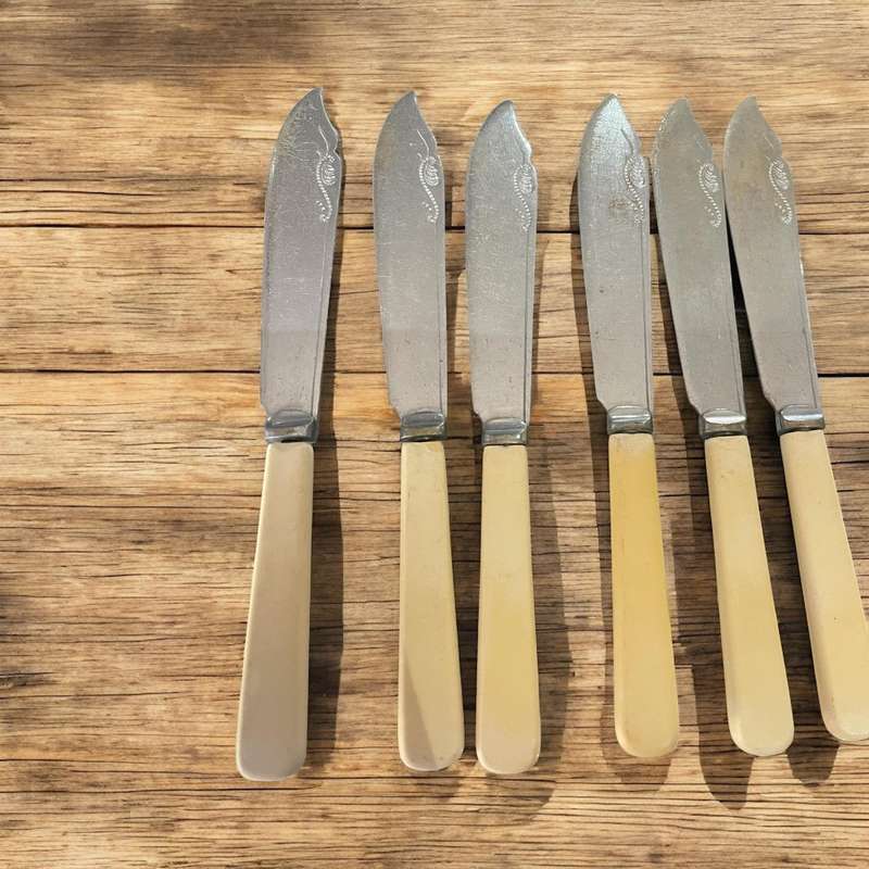 Knives bone handled(NR12)
