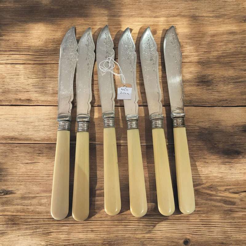 Knives bone handled(NR11)