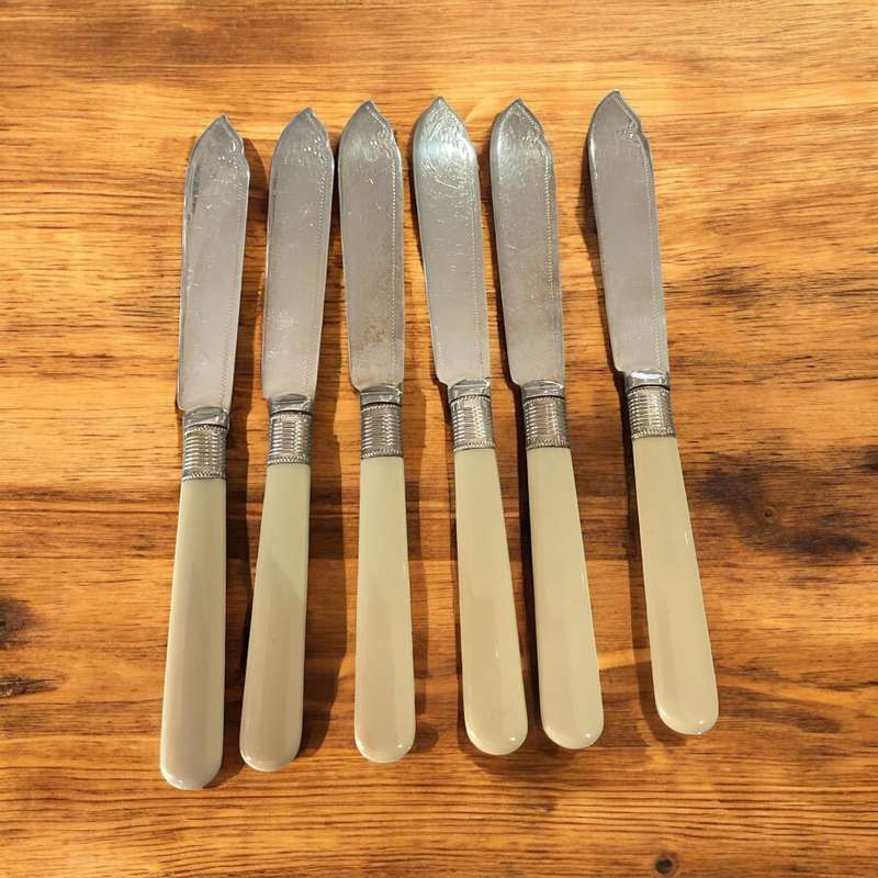 Knives bone handled(NR10)