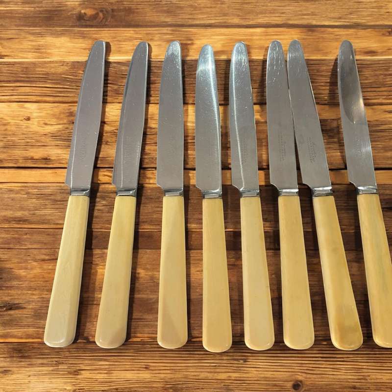 Knives bone handled(NR9)