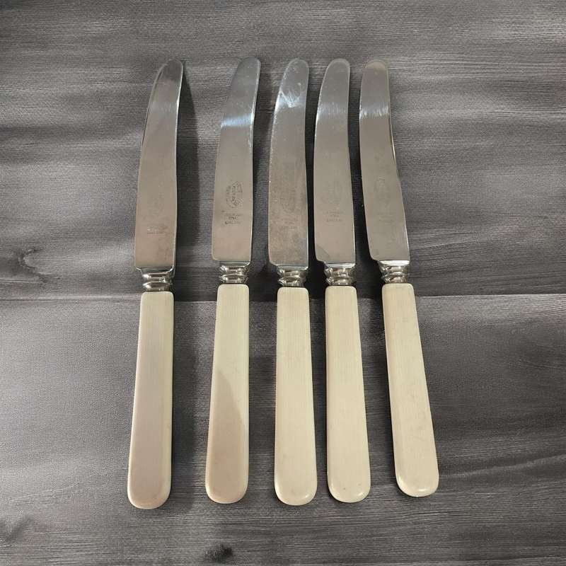 Knives bone handled(NR8)