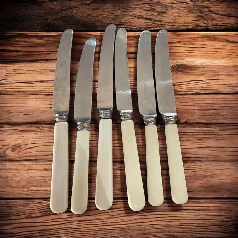 Knives bone handled(NR7)