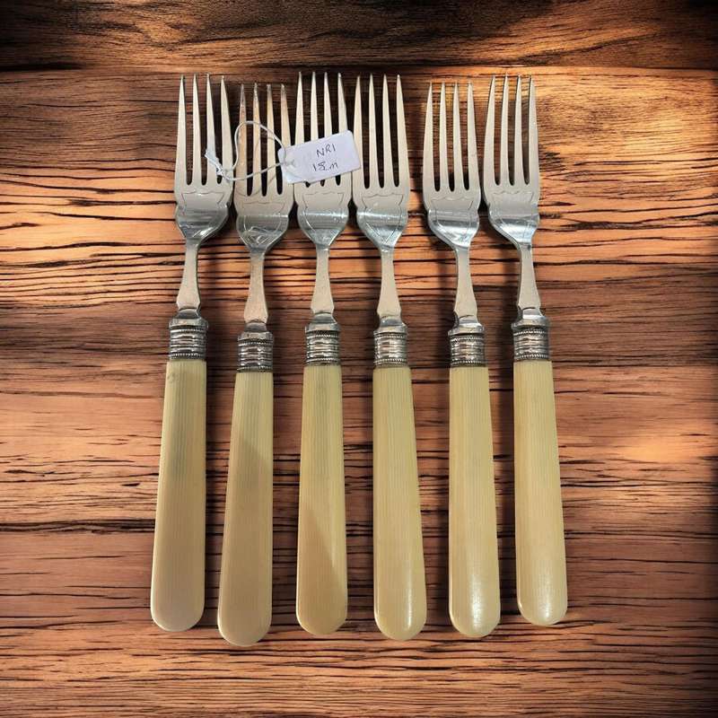 Forks bone handled(NR1)