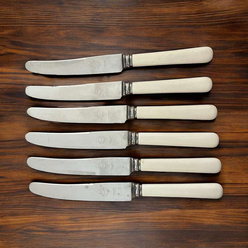 Knives bone handled(NR30)