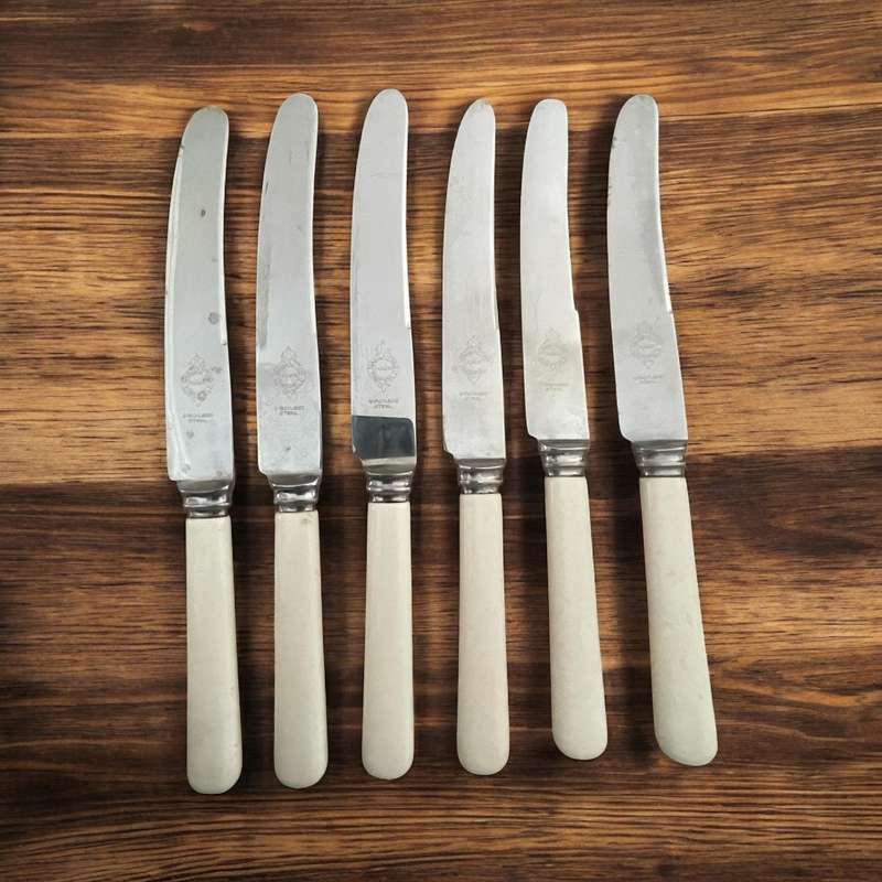 Knives bone handled(NR31)