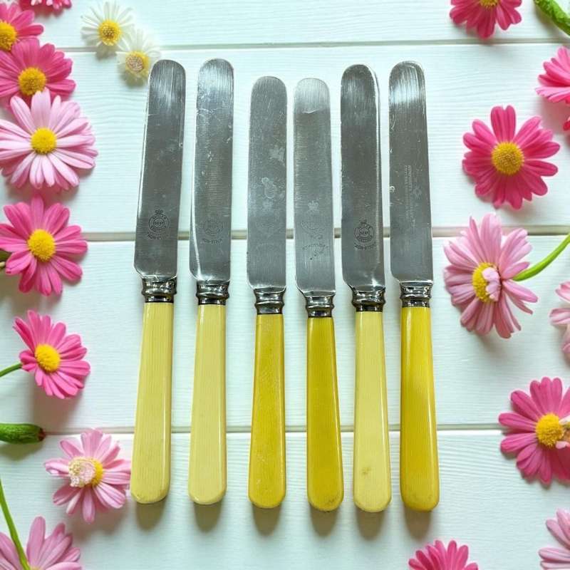 Knives bone handled(NR34)