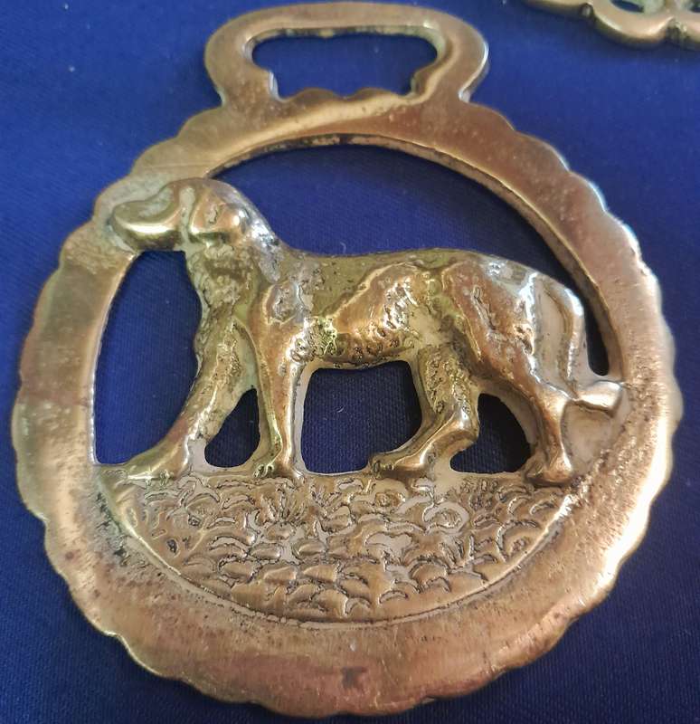Vintage Single Horse Brasses - Set of three (I Love Dogs and Beer)