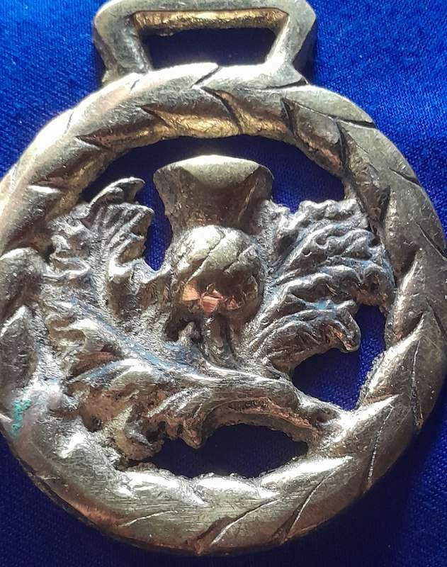 Vintage Single Horse Brasses - Set of Two