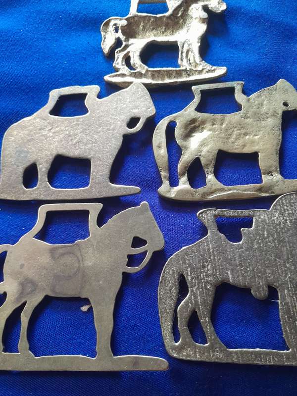 Nice Collection of Five Vintage Horse Motif Single Horse Brasses