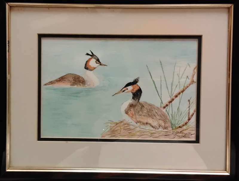 Original Paintings Signed by the Artist x 3
