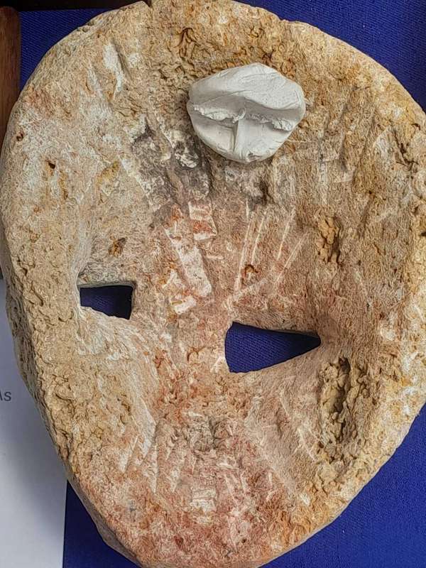 Fossilized  Carved Coral  Animist Mask on assembled Wooden Stand