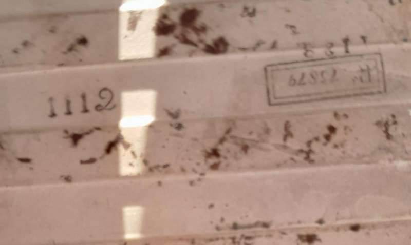 Antique Victorian  Print and Tint Floral Wall Tile