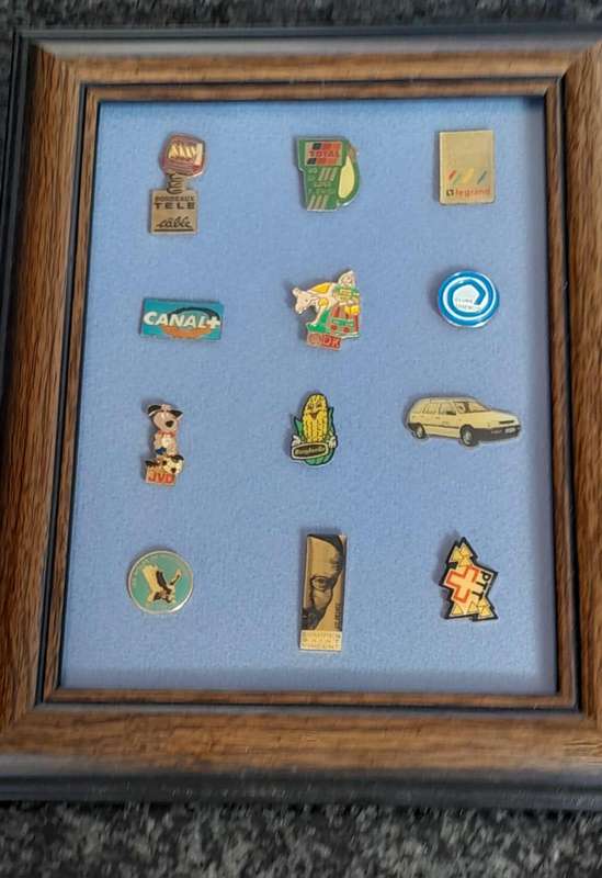 Vintage Assorted Collectable Enamel Lapel Pins 12 Pieces  - Framed