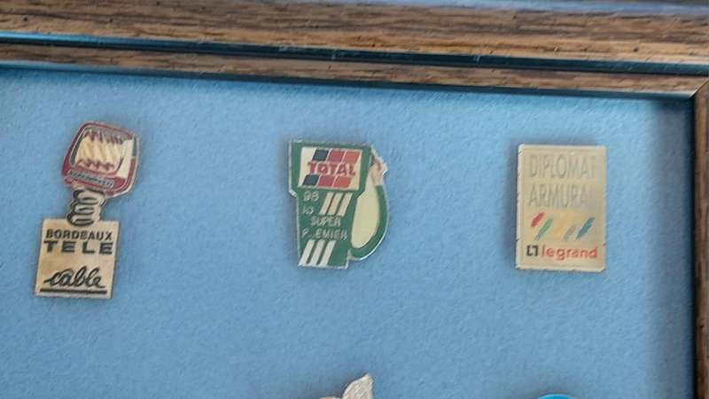 Vintage Assorted Collectable Enamel Lapel Pins 12 Pieces  - Framed
