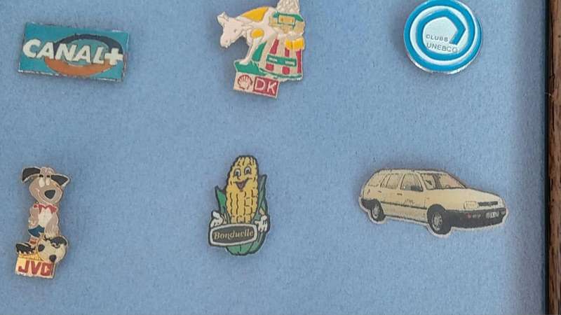 Vintage Assorted Collectable Enamel Lapel Pins 12 Pieces  - Framed