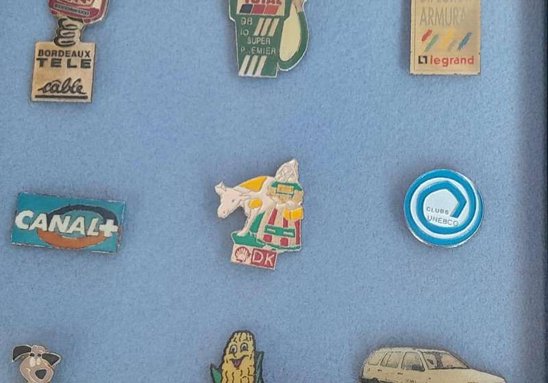 Vintage Assorted Collectable Enamel Lapel Pins 12 Pieces  - Framed