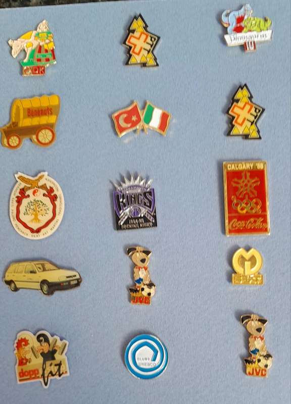 Vintage Assorted Collectable Enamel Lapel Pins 15 Pieces - Framed