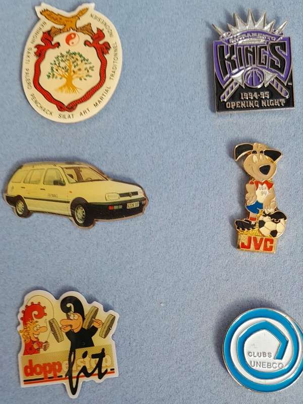 Vintage Assorted Collectable Enamel Lapel Pins 15 Pieces - Framed