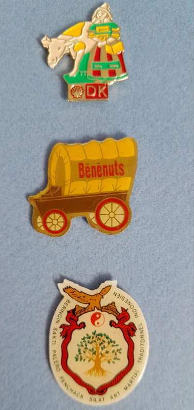 Vintage Assorted Collectable Enamel Lapel Pins 15 Pieces - Framed