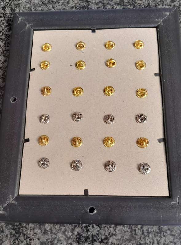 Vintage Assorted Collectable Enamel Lapel Pins 24 Pieces  - Framed