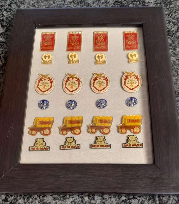 Vintage Assorted Collectable Enamel Lapel Pins 24 Pieces  - Framed