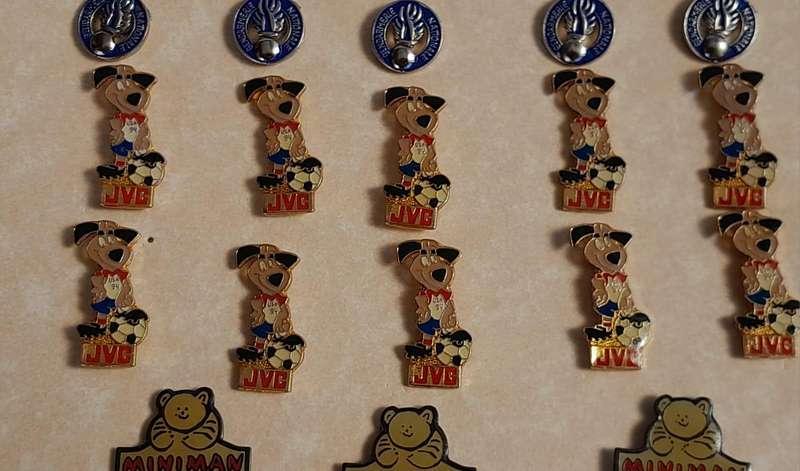 Vintage Assorted Collectable Enamel Lapel Pins 36 Pieces  - Framed