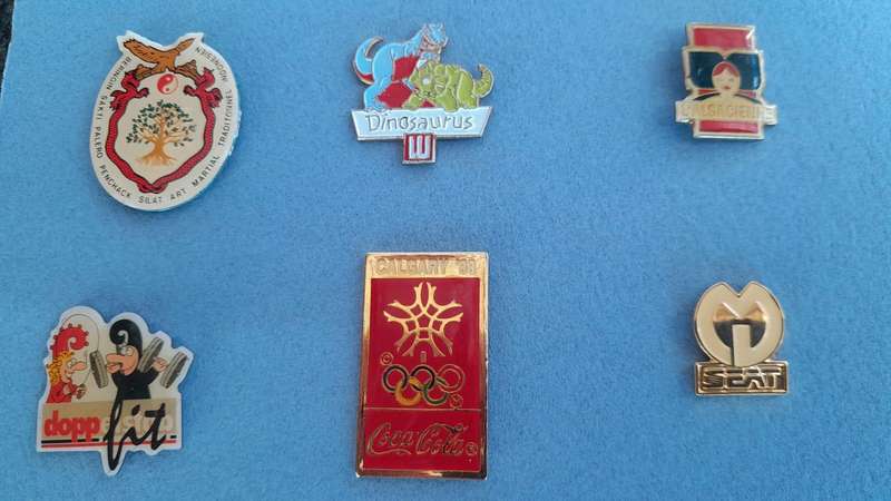 Vintage Assorted Collectable Enamel Lapel Pins 14 Pieces - Framed