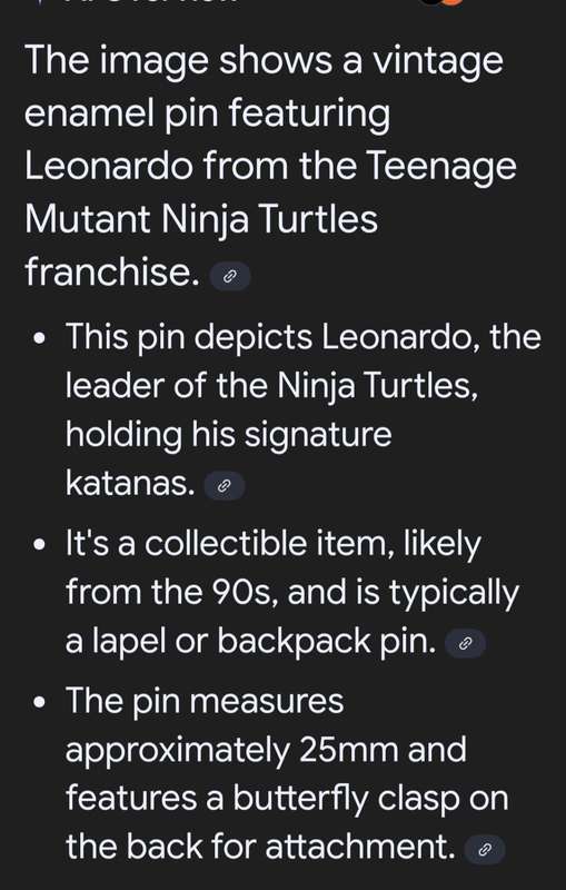 Vintage Enamel Pin Featuring Leonardo from the  Teenage Mutant Ninja Turtles