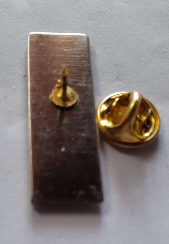 Saint  Vincent de Paul Lapel Pin