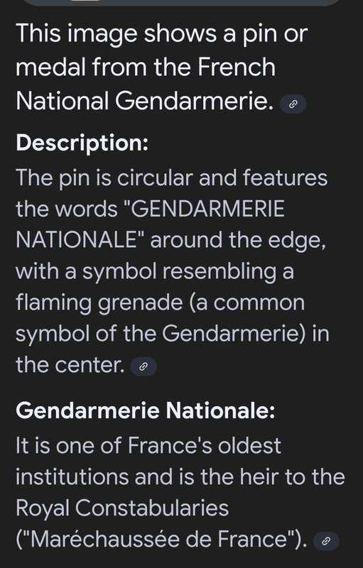 French National Gendarmerie Lapel Pin