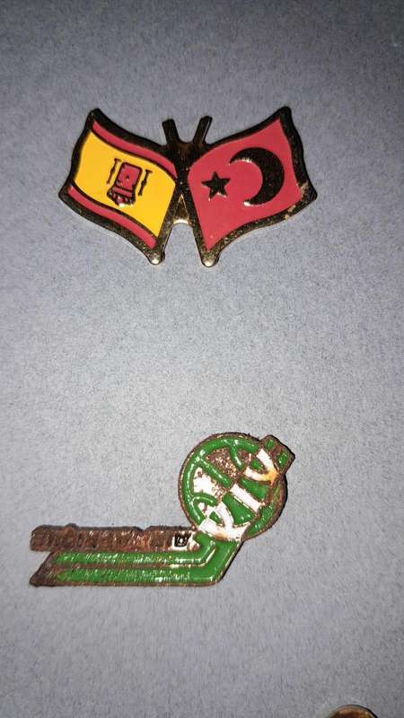 Vintage Assorted Collectable Enamel Lapel Pins 9 Pieces  - Framed