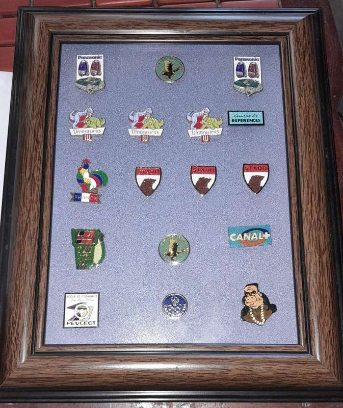 Vintage Assorted Collectable Enamel Lapel Pins 17 Pieces  - Framed