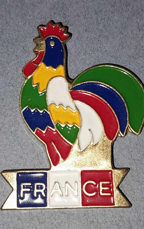 Vintage Assorted Collectable Enamel Lapel Pins 17 Pieces  - Framed