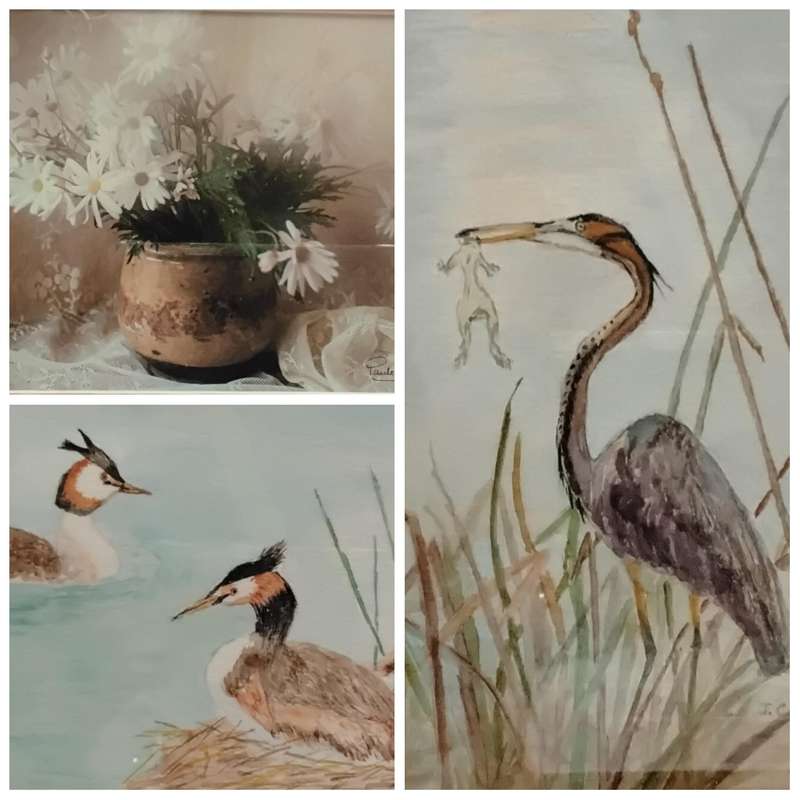 Original Paintings Signed by the Artist x 3