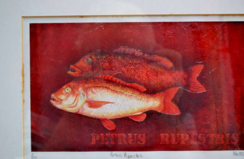 Limited Edition Westcott Fish Print Collage - 2/20