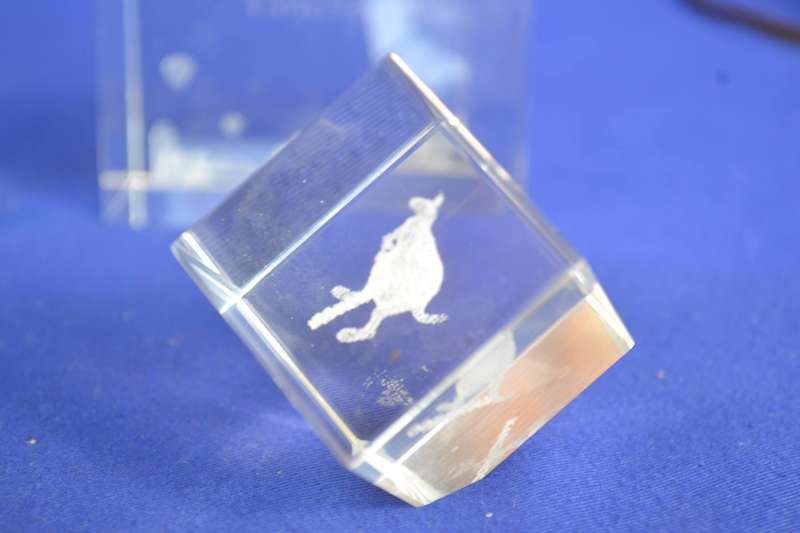 Vintage 3D Hologram Laser Etched Glass Paperweights x 3