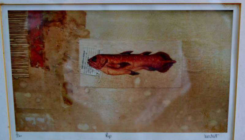 Limited Edition Westcott Fish Print Collage - 2/20