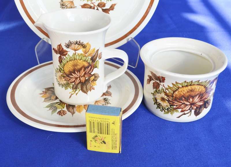 Midwinter Pottery Items in the October Pattern - 6 Pieces
