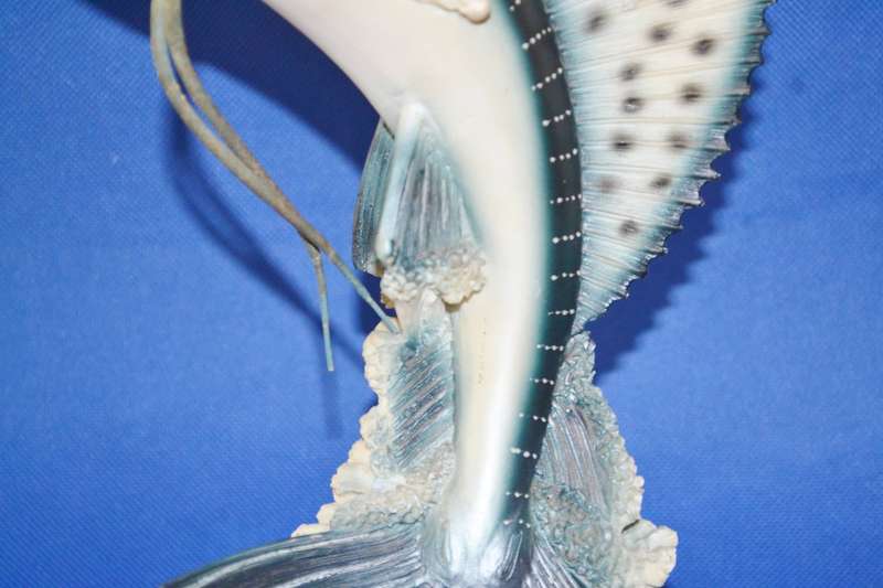 Vintage Model of a Sailfish