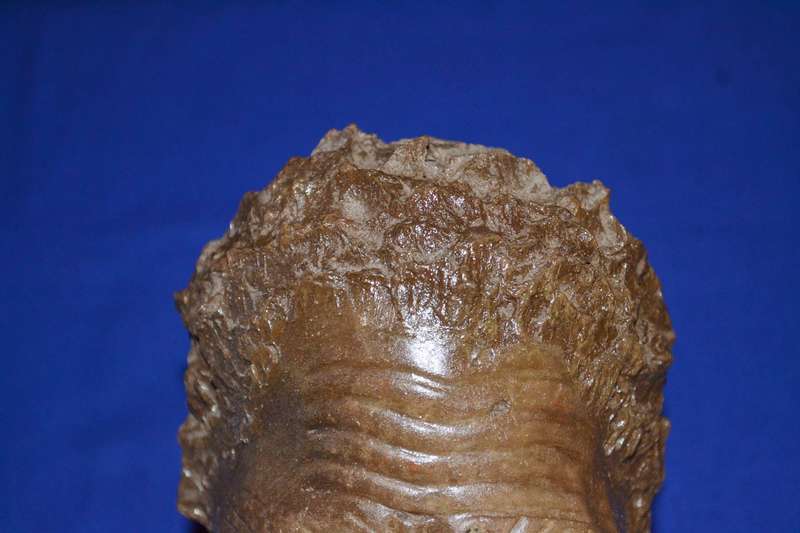 Vintage Sculpted Clay Bust - African Man - Signed