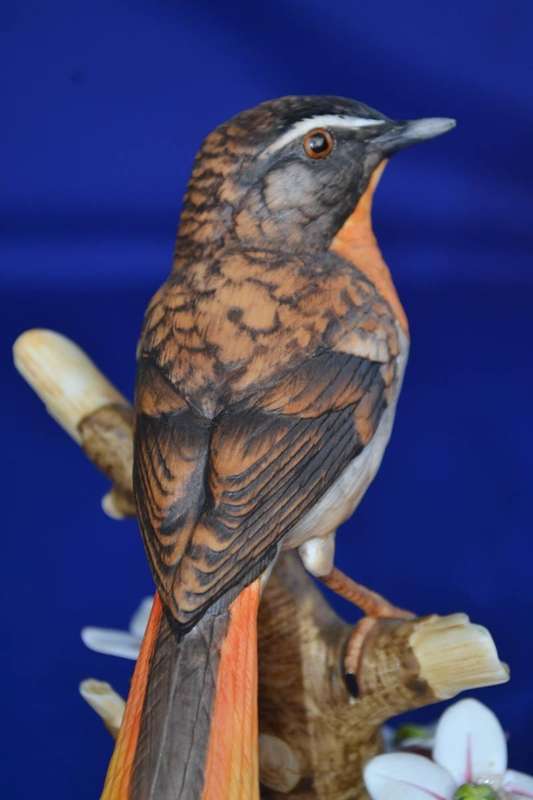 Limited edition Heritage Porcelain Cape Robin model
