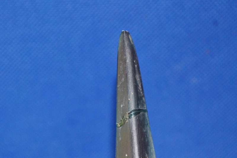 Vintage Model of a Sailfish