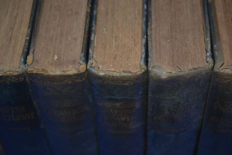 Charles Dickens Complete 16 Book Set (Some Illustrated) c1933