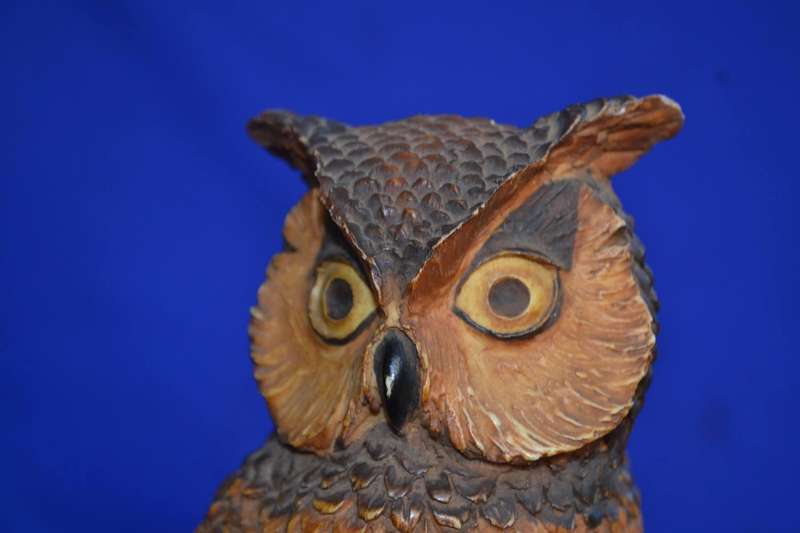 Beautifully Detailed Owl Model on Wooden Base