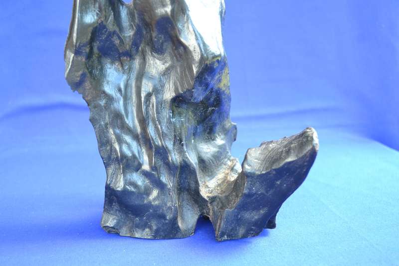 Japanese Charred Cedar Root Sculpture