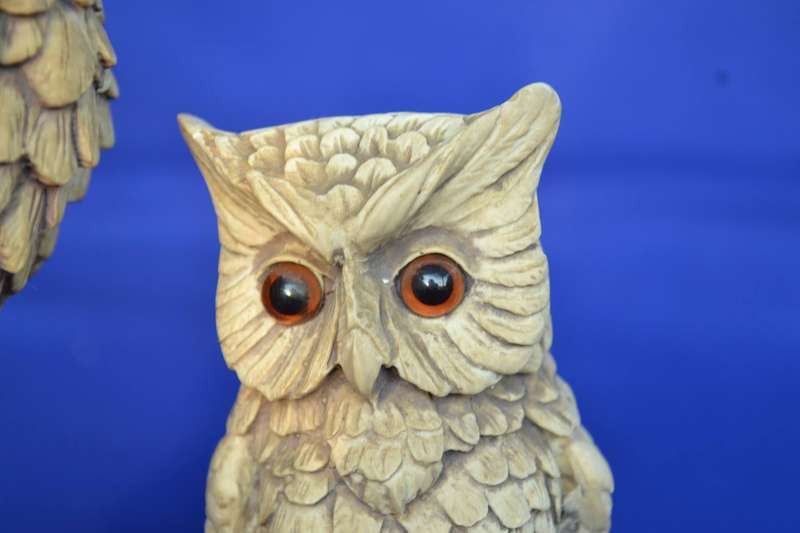 Pair of High Quality Resin Owls