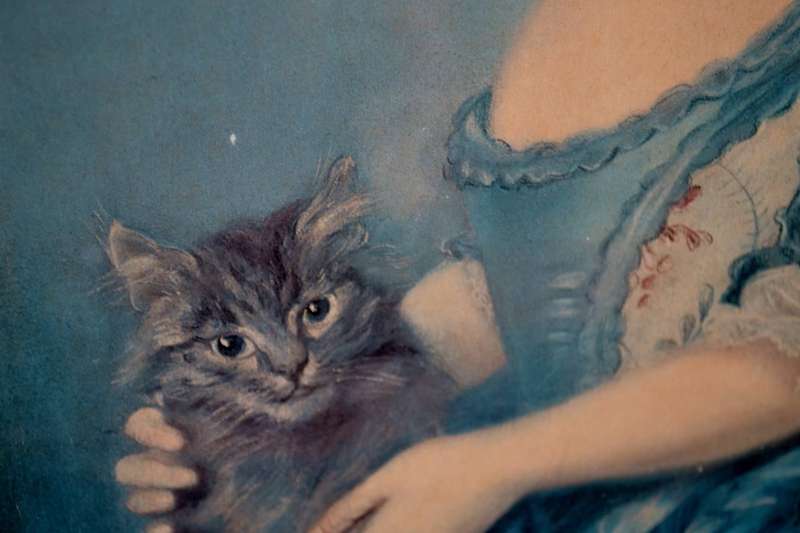 Jean Baptiste Perronneau print - A Girl with a Kitten