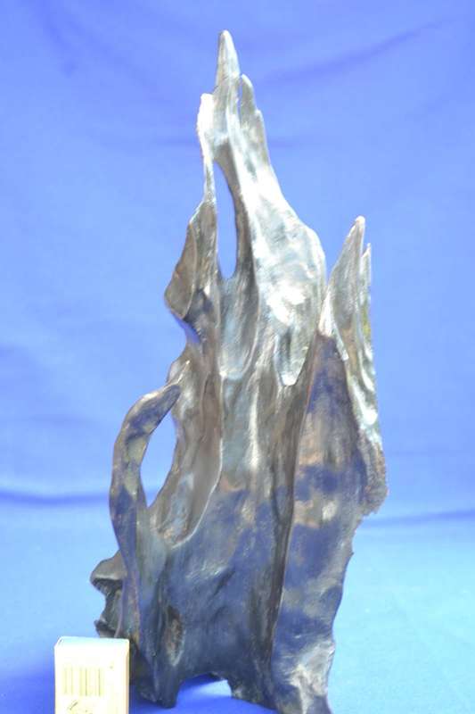 Japanese Charred Cedar Root Sculpture
