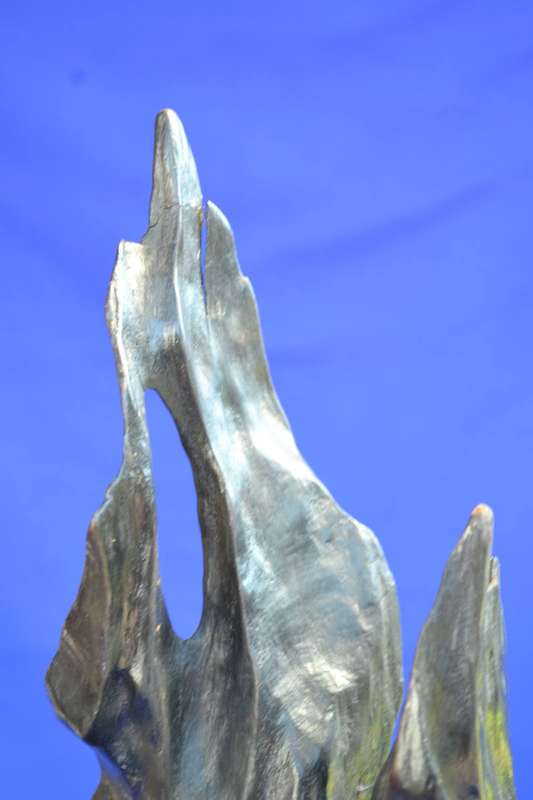 Japanese Charred Cedar Root Sculpture