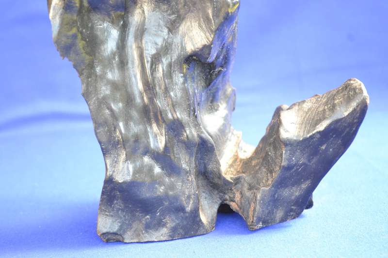 Japanese Charred Cedar Root Sculpture